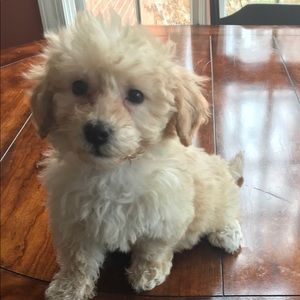 My new baby!!